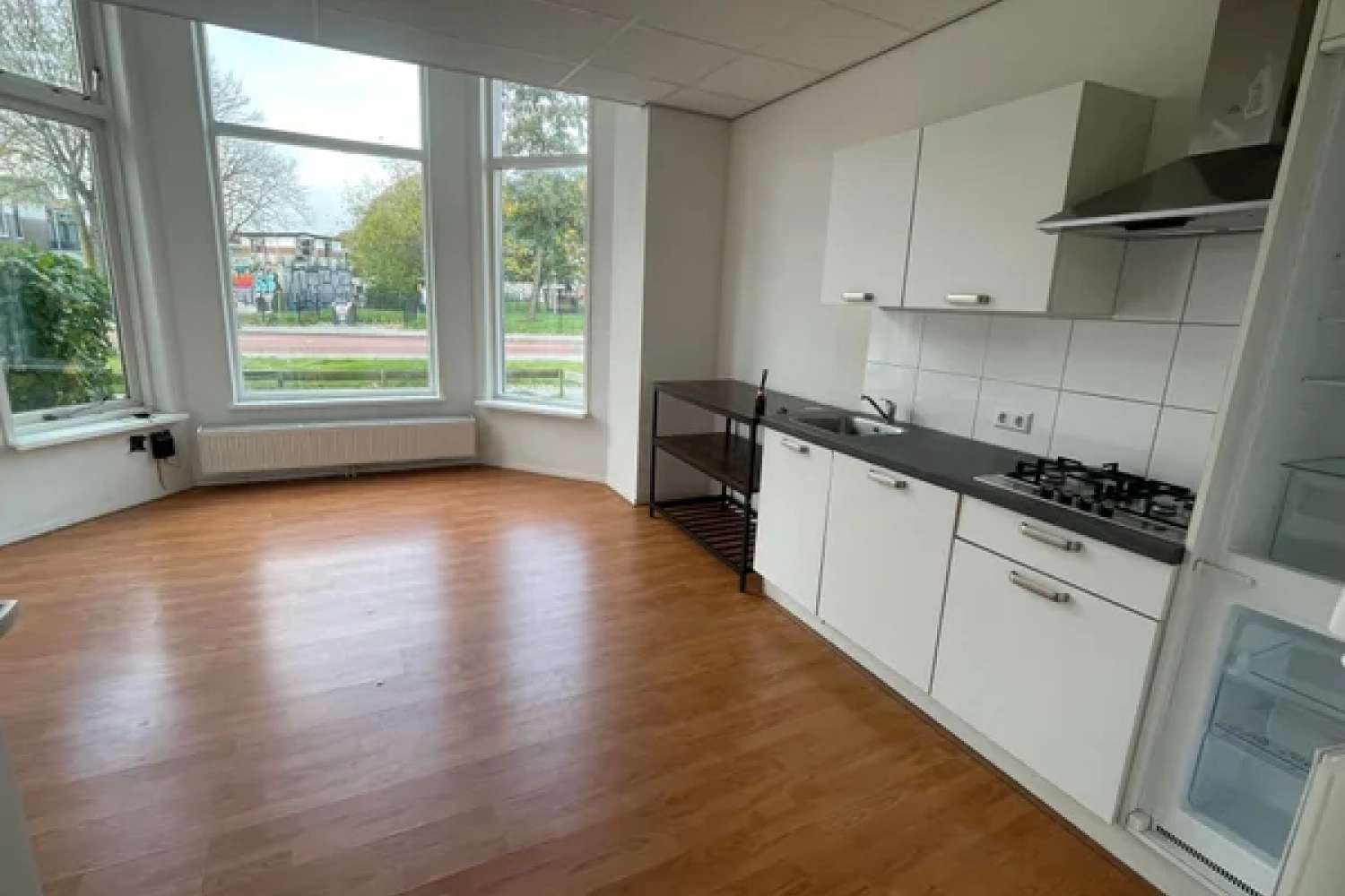 Vredeman de Vriesstraat