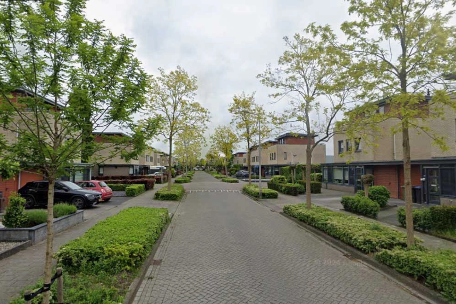 Madeliefberg