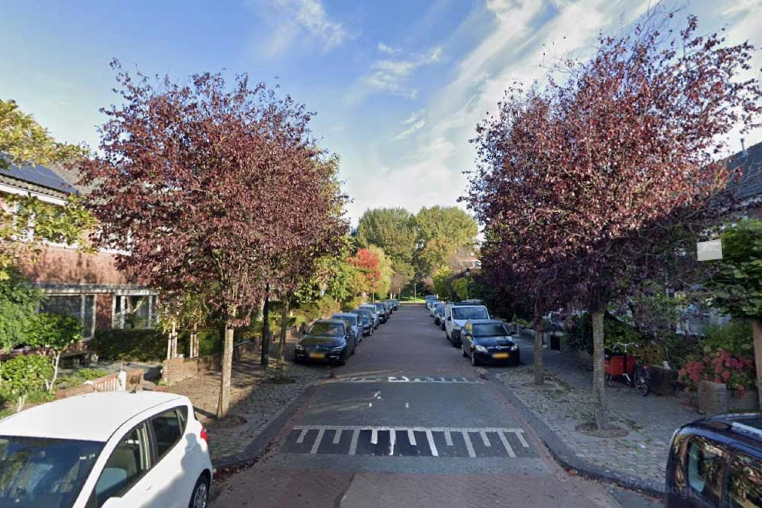 Simon Pelgromstraat