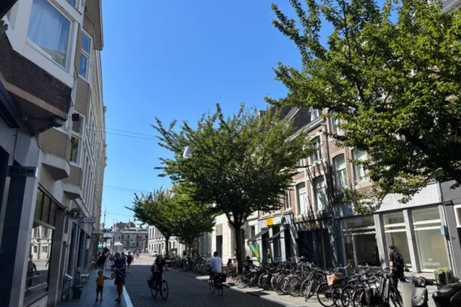 Hoenderstraat
