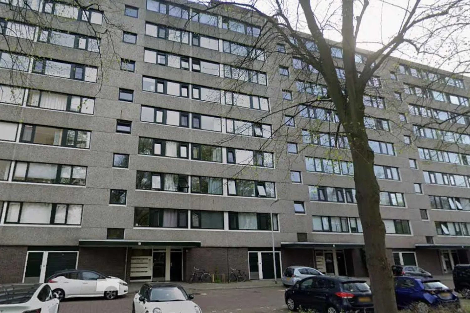 Roland Holstlaan