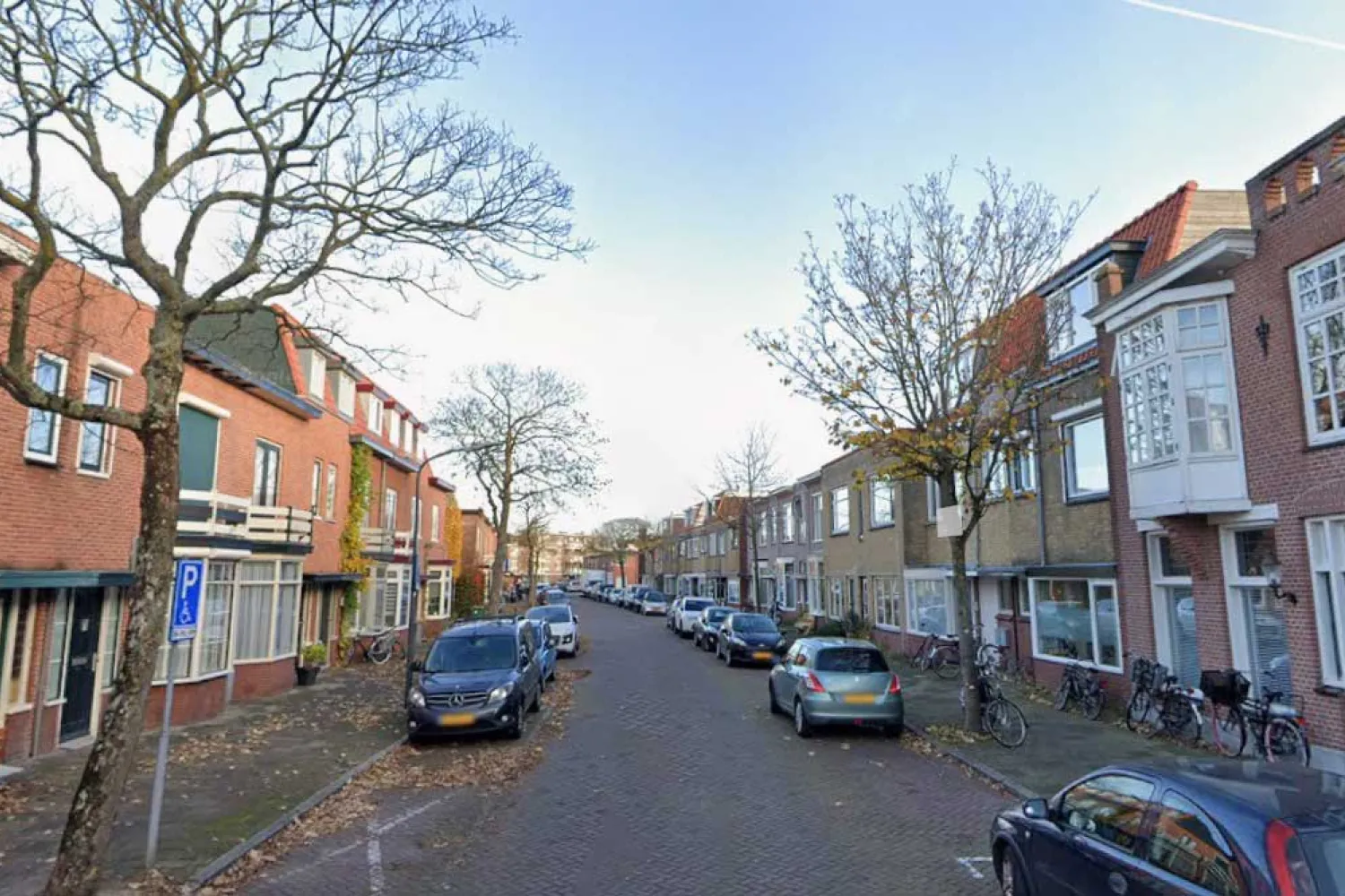 Dr. Schaepmanstaat